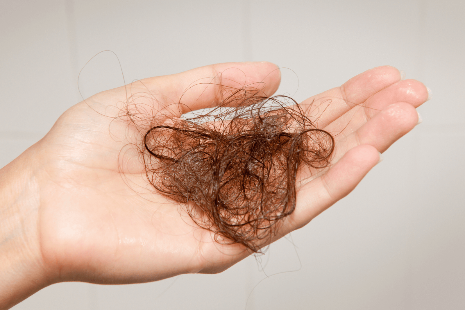 Caída estacional del cabello: lo que nadie te cuenta 2 Diseno sin titulo 2025 09 22T174821.652 1 scaled | Lo Mejor en Belleza